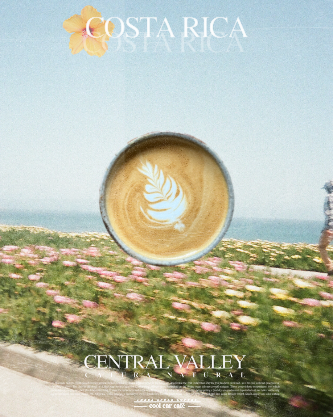 5lb Big Bag Costa Rica Central Valley Natural