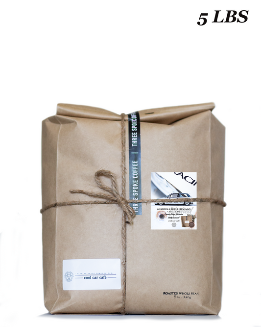 5lb Big Bag Guatemala Huehuetenango