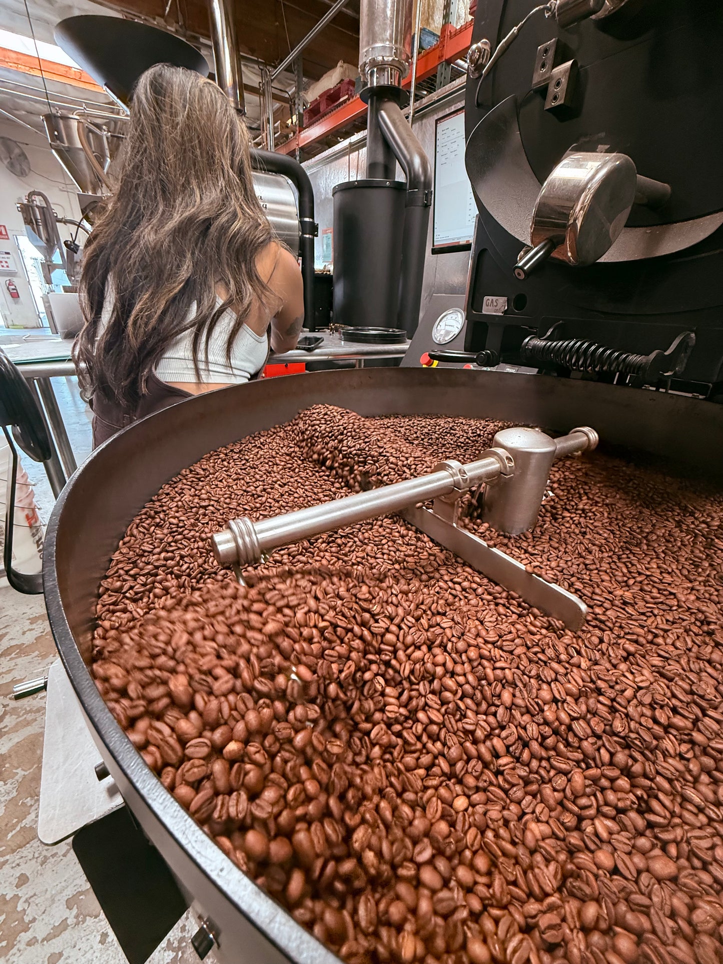Ethiopia Nensebo Natural