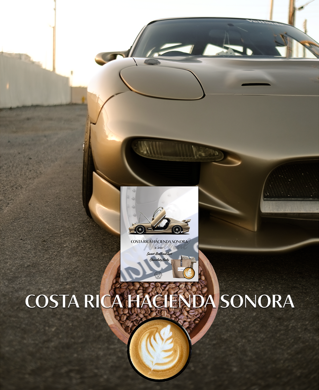 12oz Bag Costa Rica Hacienda Sonora