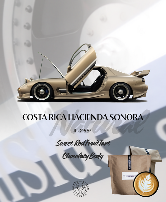 12oz Bag Costa Rica Hacienda Sonora