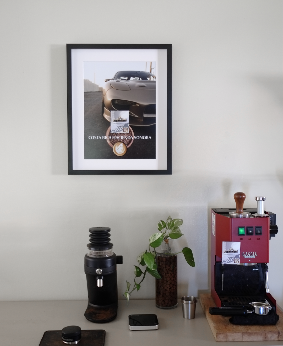 16x20" Photo Print FD3S Costa Rica