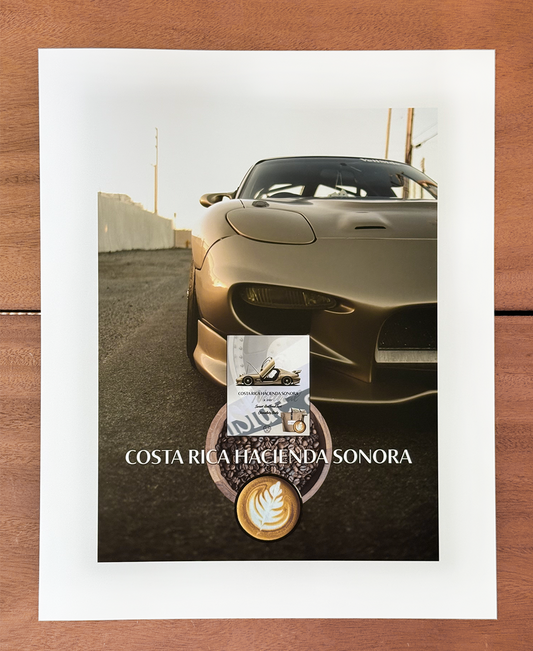 16x20" Photo Print FD3S Costa Rica